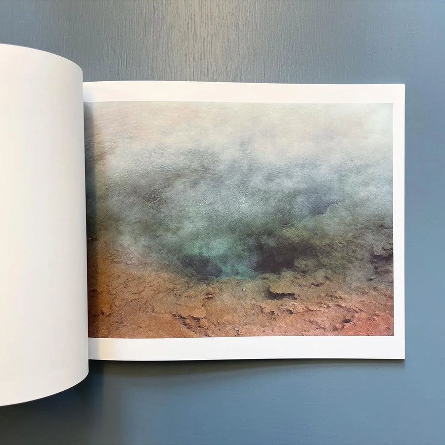 Roni Horn - Islands / To place : Becoming a landscape - Ginny Williams 2001 Saint-Martin Bookshop