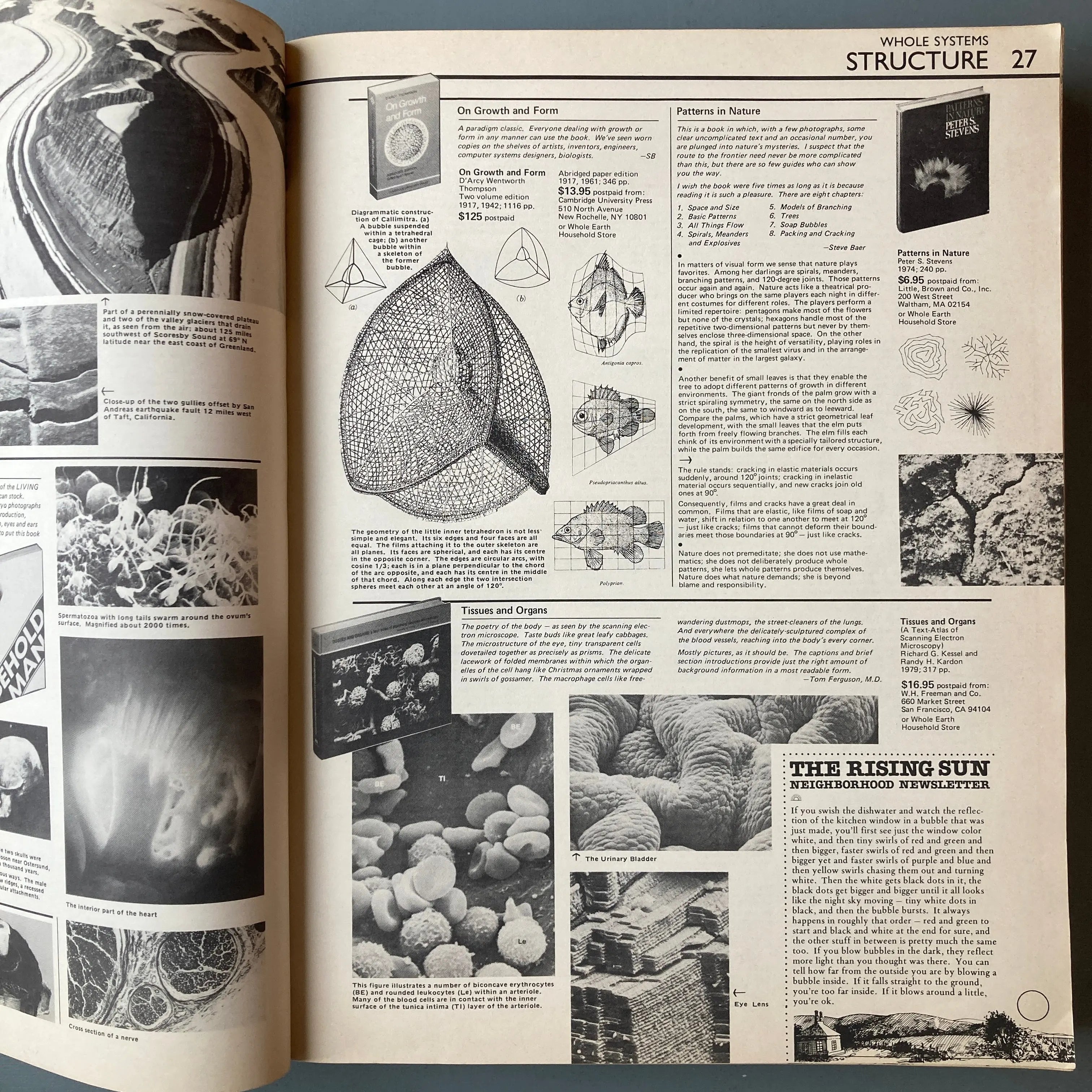The Last Whole Earth Catalog Second edition October 1984 Saint