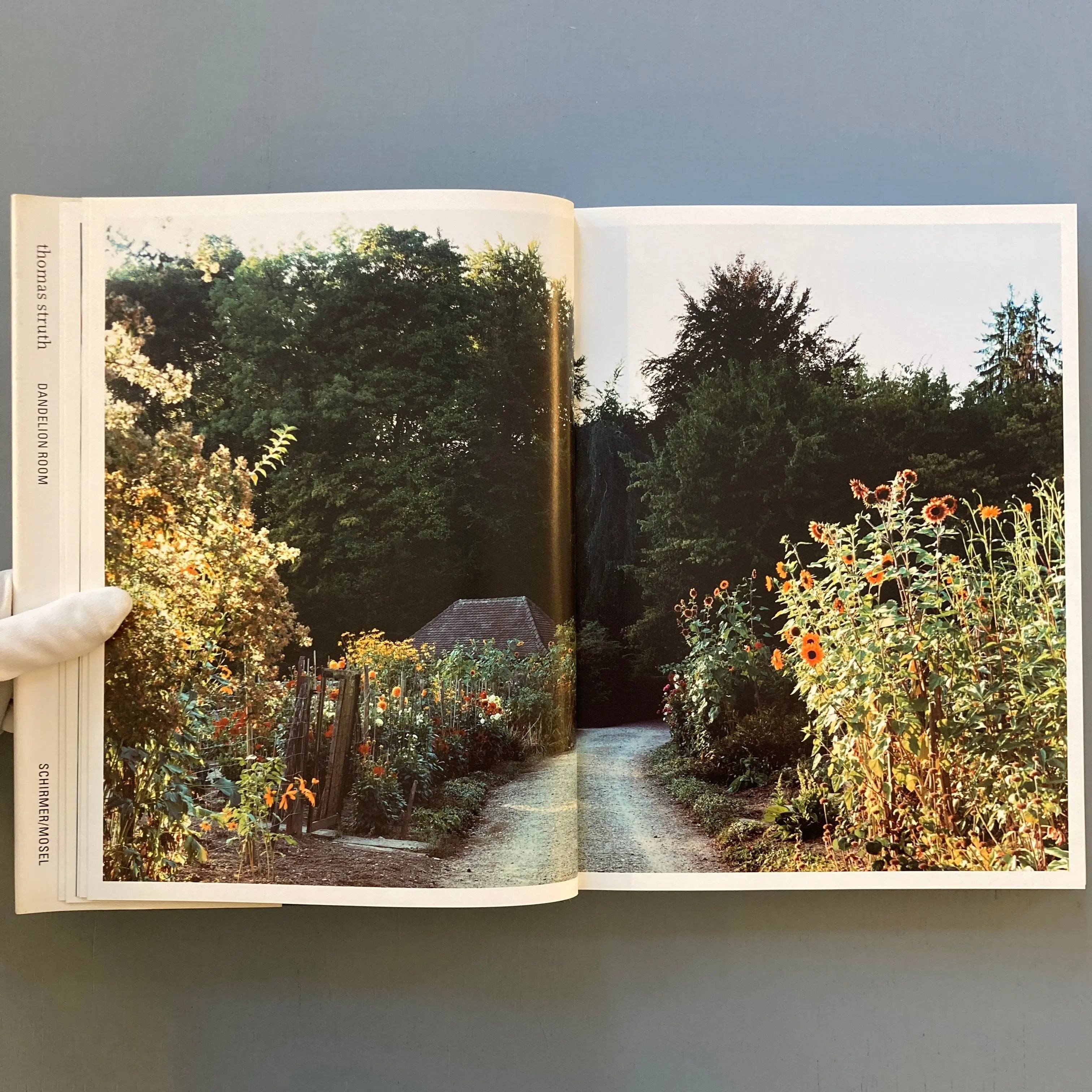 thomas struth:Dandelion Room/写真集 作品集 洋書 Thomas Struth - Dandelion Room - Schirmer/Mosel 2001 - Saint