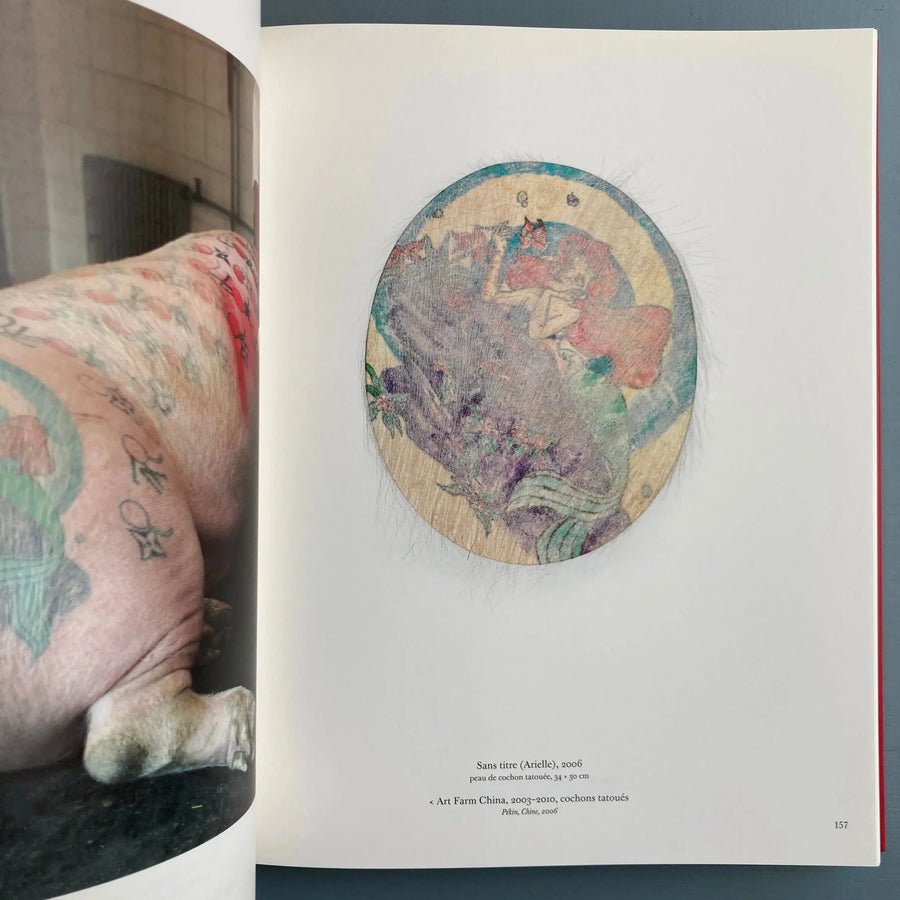 Wim Delvoye - Introspective - Fonds Mercator 2012 - Saint-Martin Bookshop